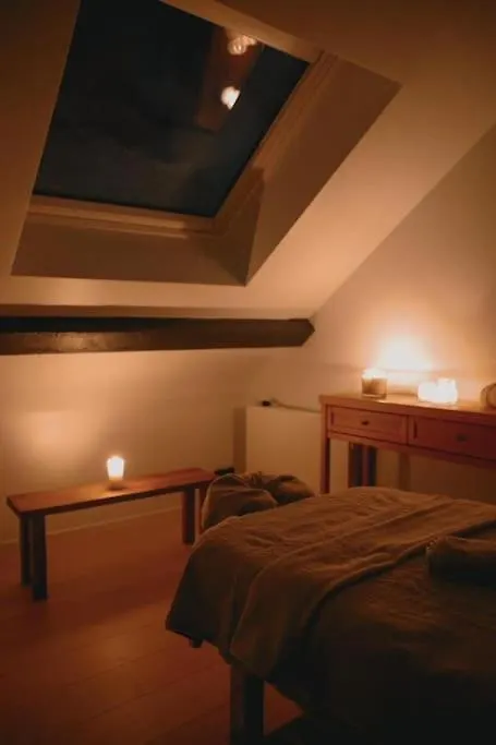 Luxury 200Sqm Appartment / Hot Tub / Sauna Brussels 0*,  Belgium